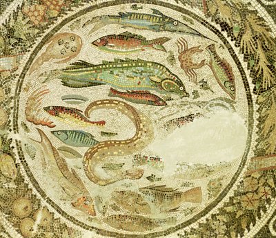 Fish (detail) by Roman